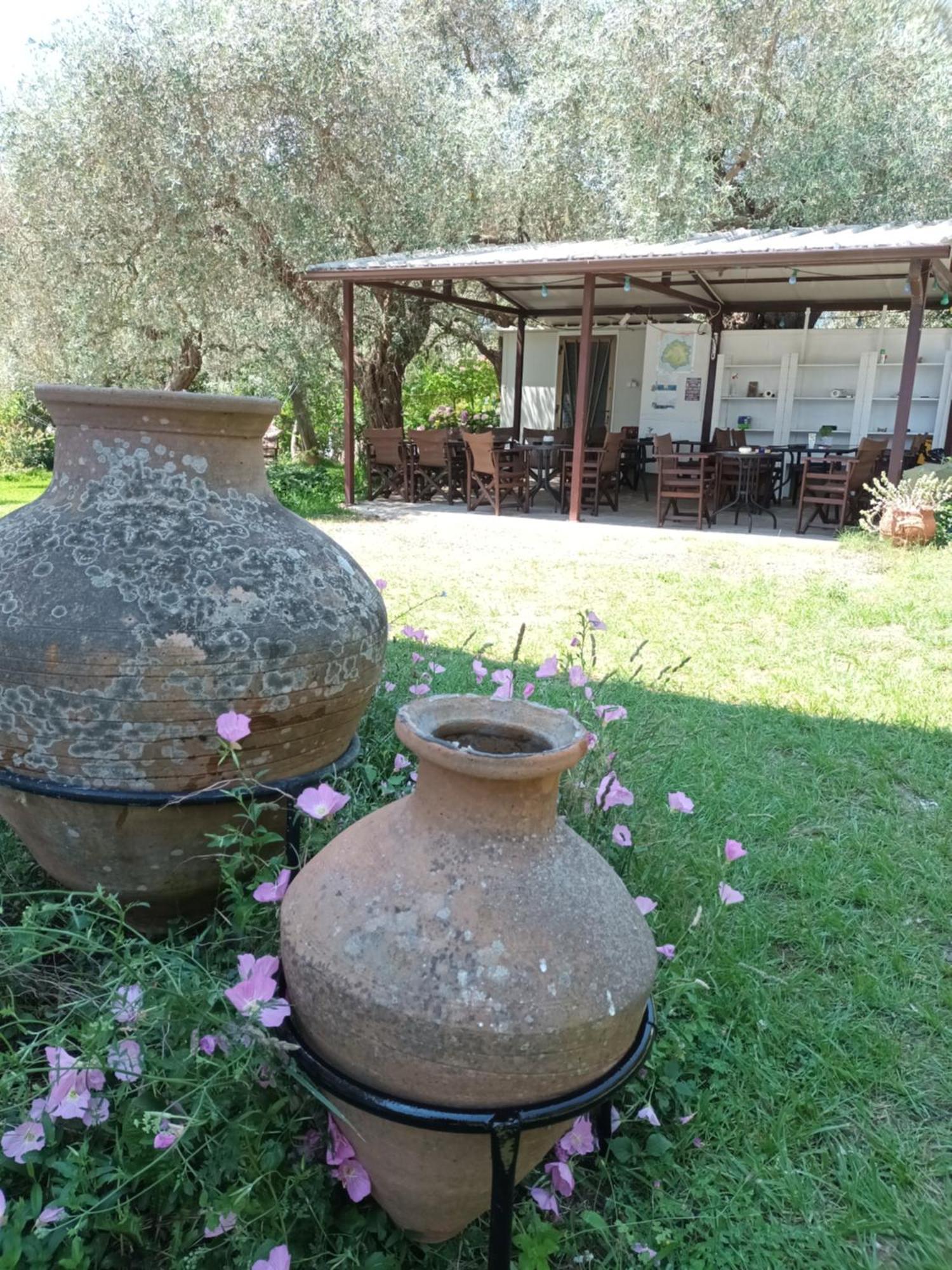 Hotel George Chrysi Ammoudia Habitación foto
