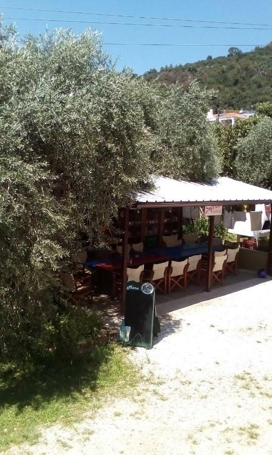 Hotel George Chrysi Ammoudia Exterior foto